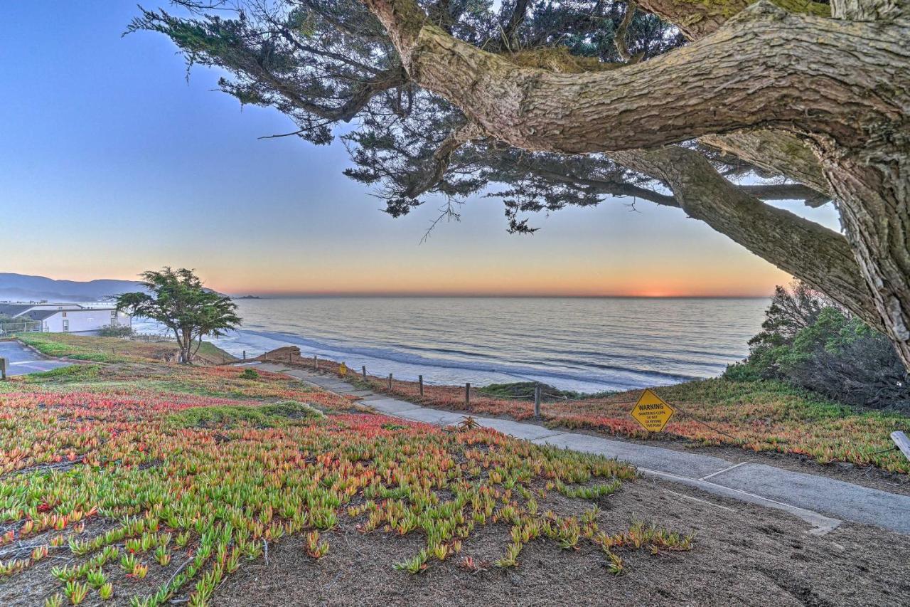 Апартаменти Cliffside Pacifica Hideaway Unbeatable View! Екстер'єр фото