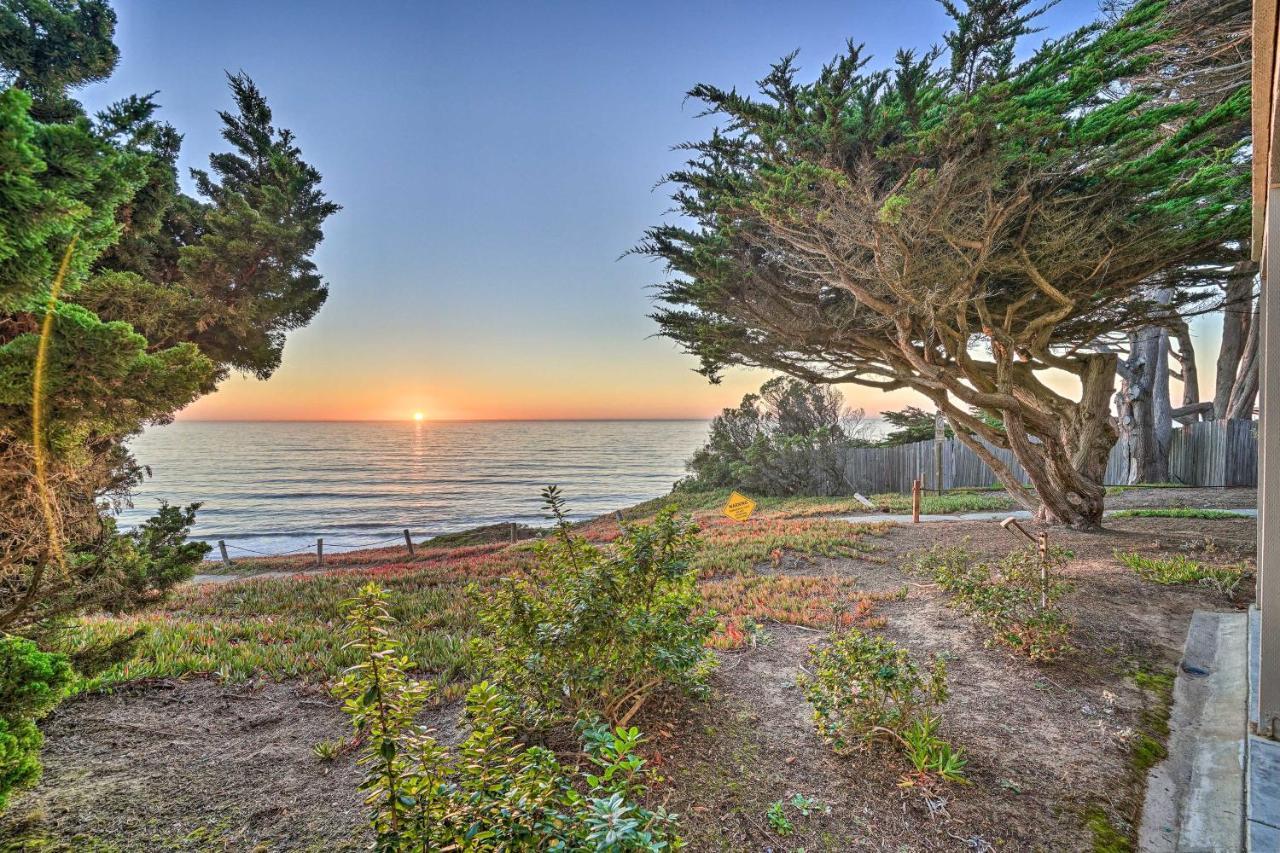 Апартаменти Cliffside Pacifica Hideaway Unbeatable View! Екстер'єр фото